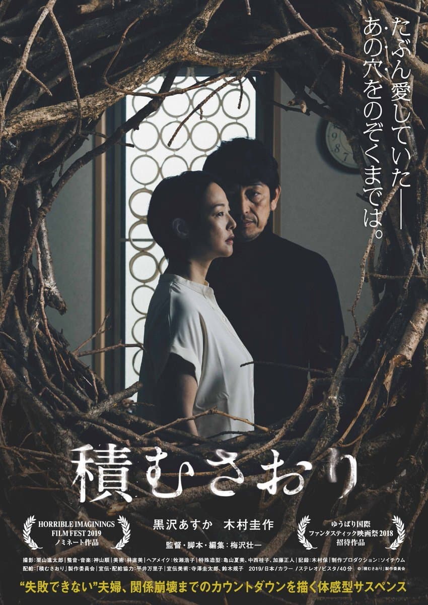 Poster di 積むさおり