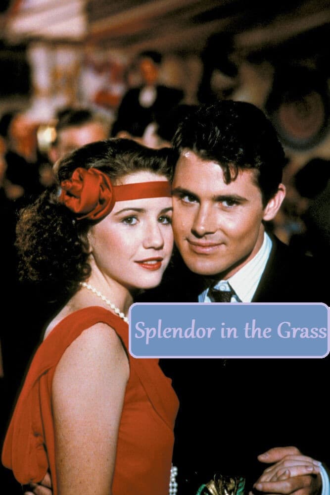 Poster di Splendor in the Grass
