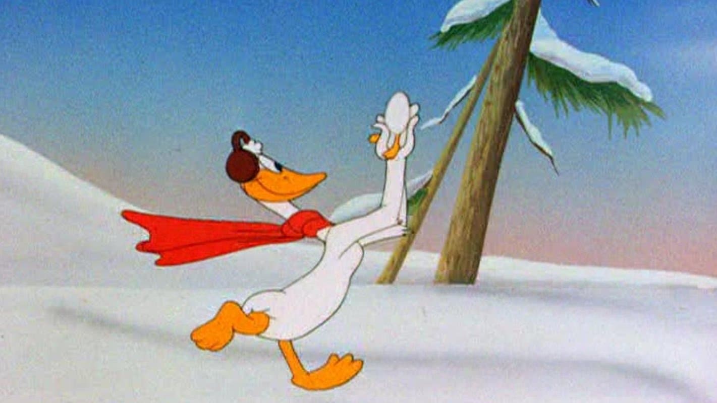 Covata al freddo - immagine