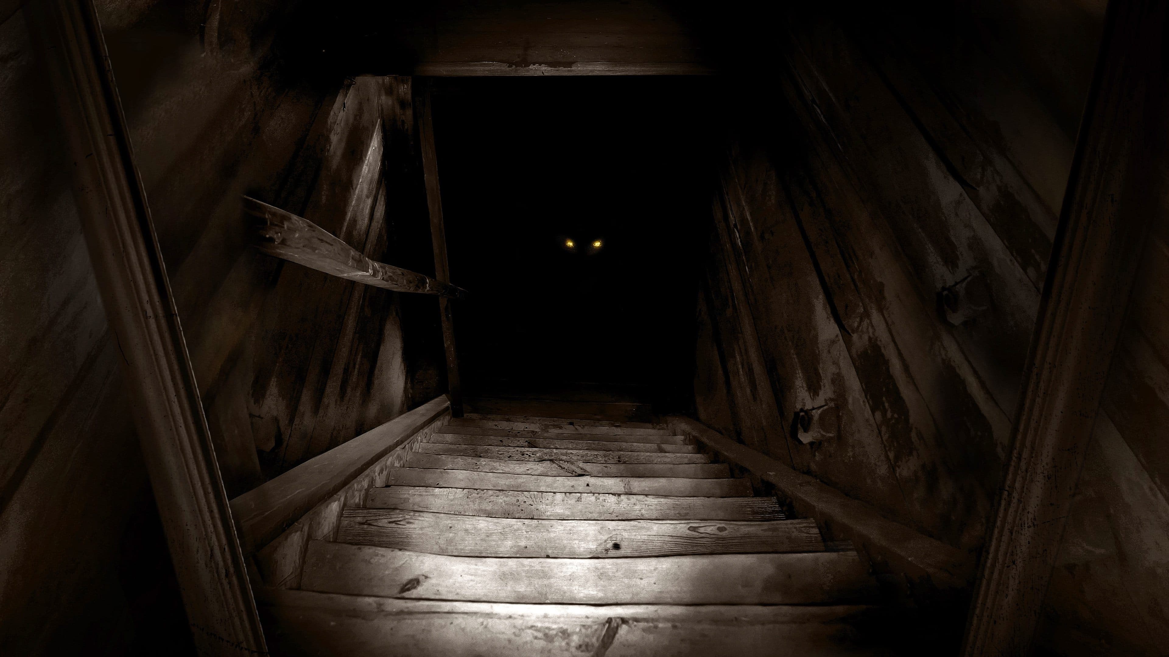 The Boogeyman - immagine