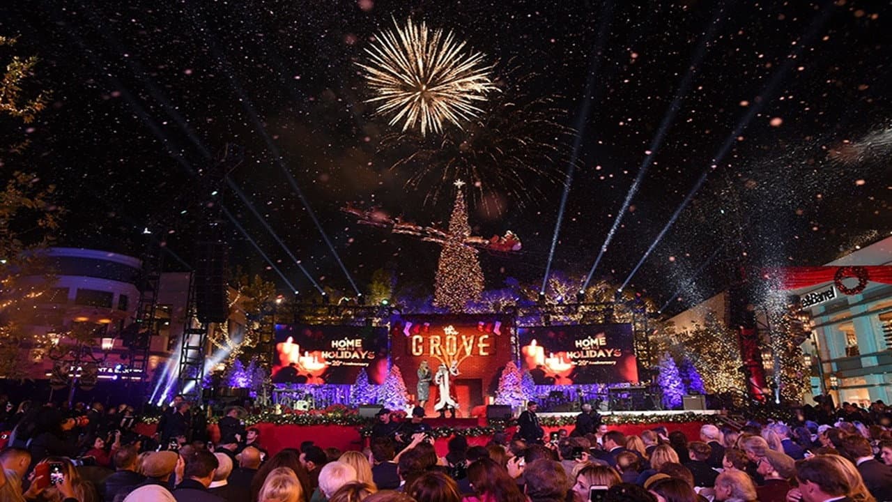 A Home for the Holidays: The 20th Anniversary - immagine