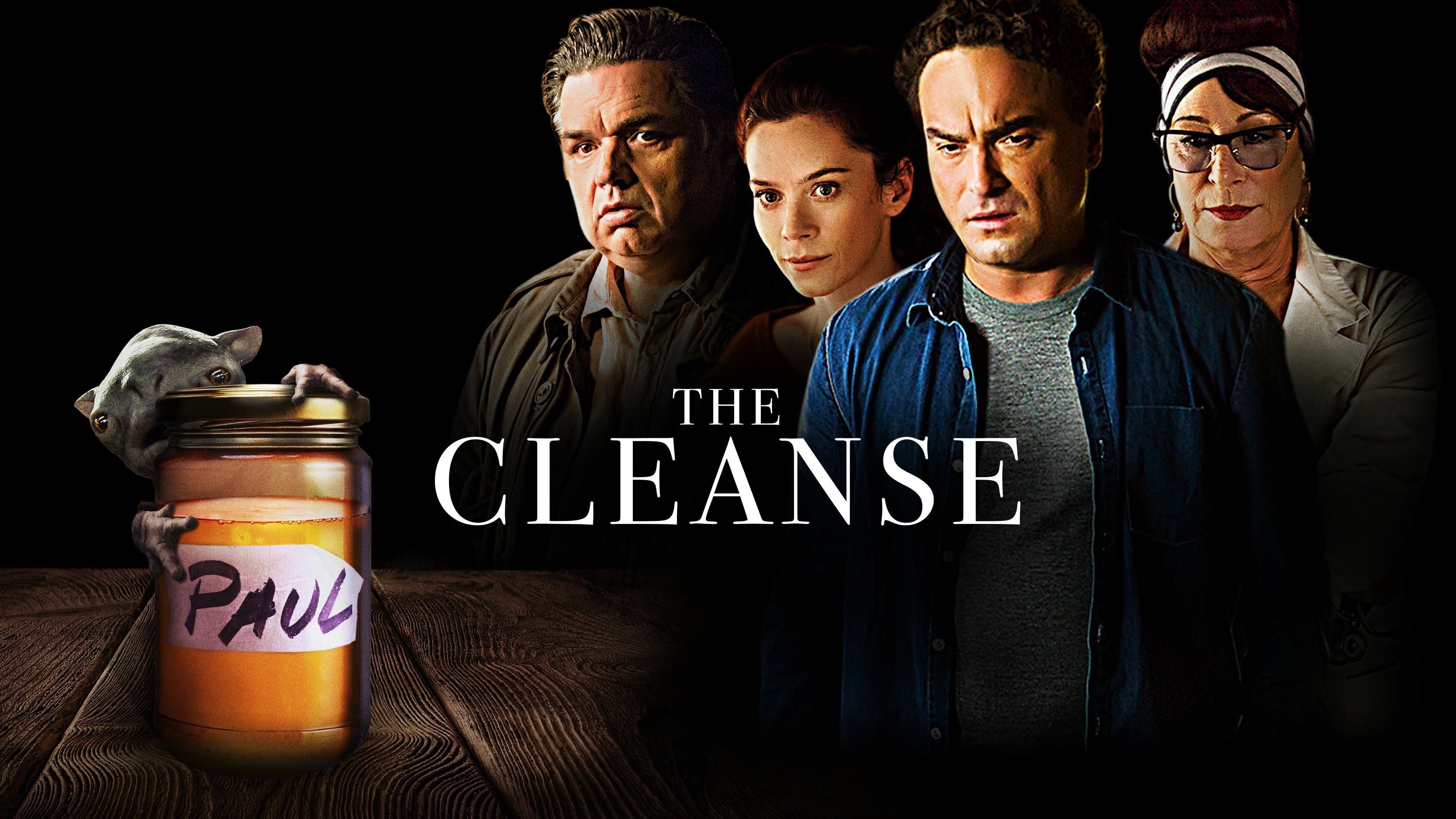 The Cleanse - immagine