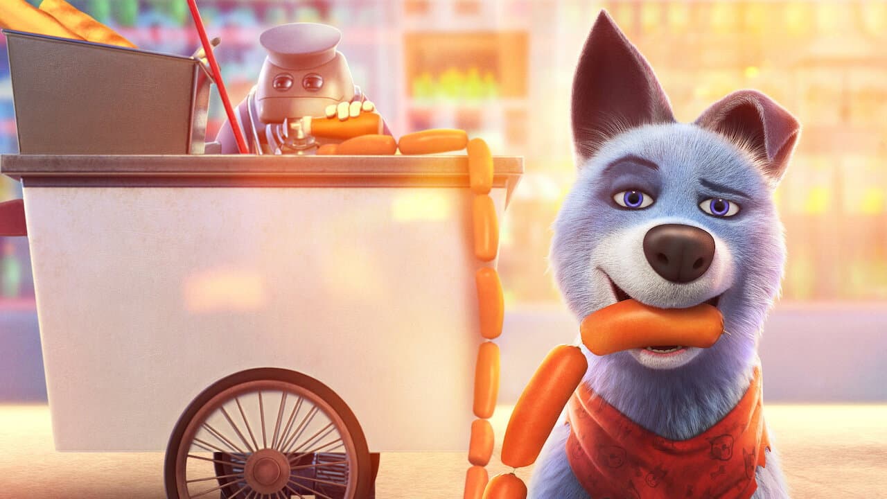 Pets United - immagine