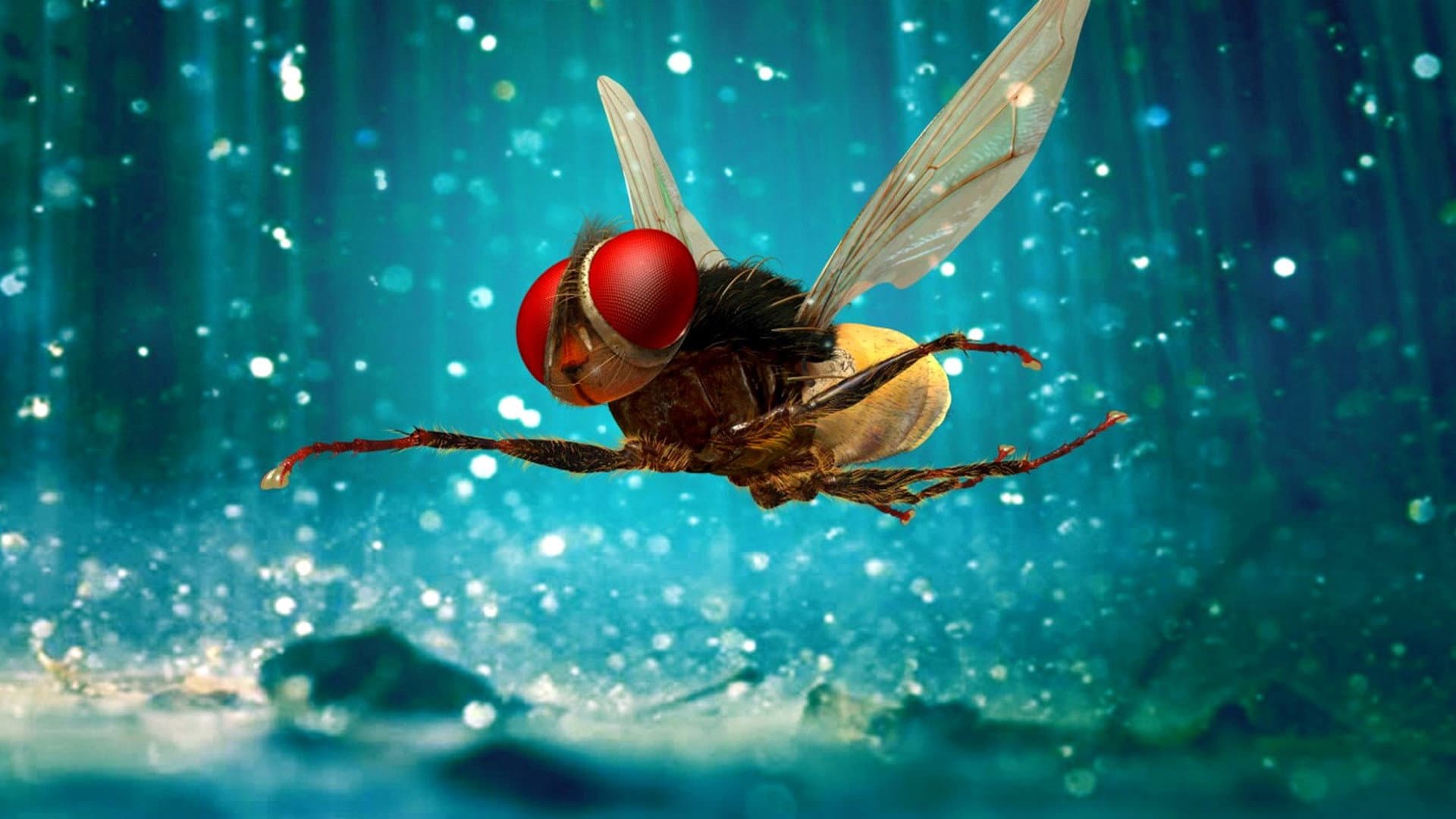 Eega - immagine