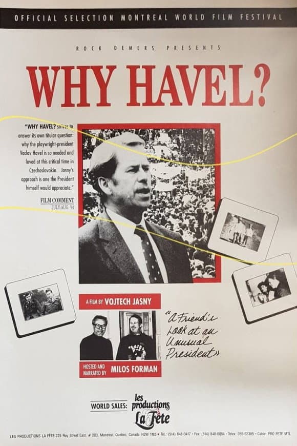 Poster di Proč Havel?