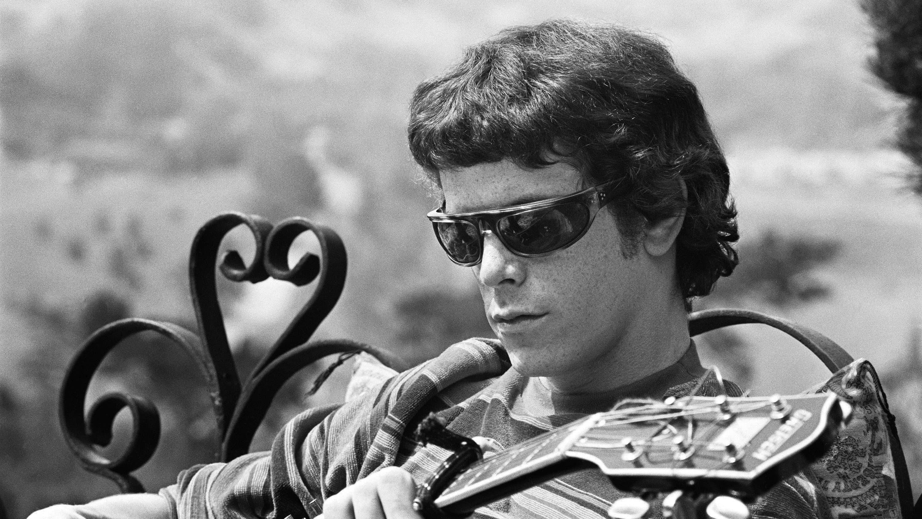 The Velvet Underground - immagine