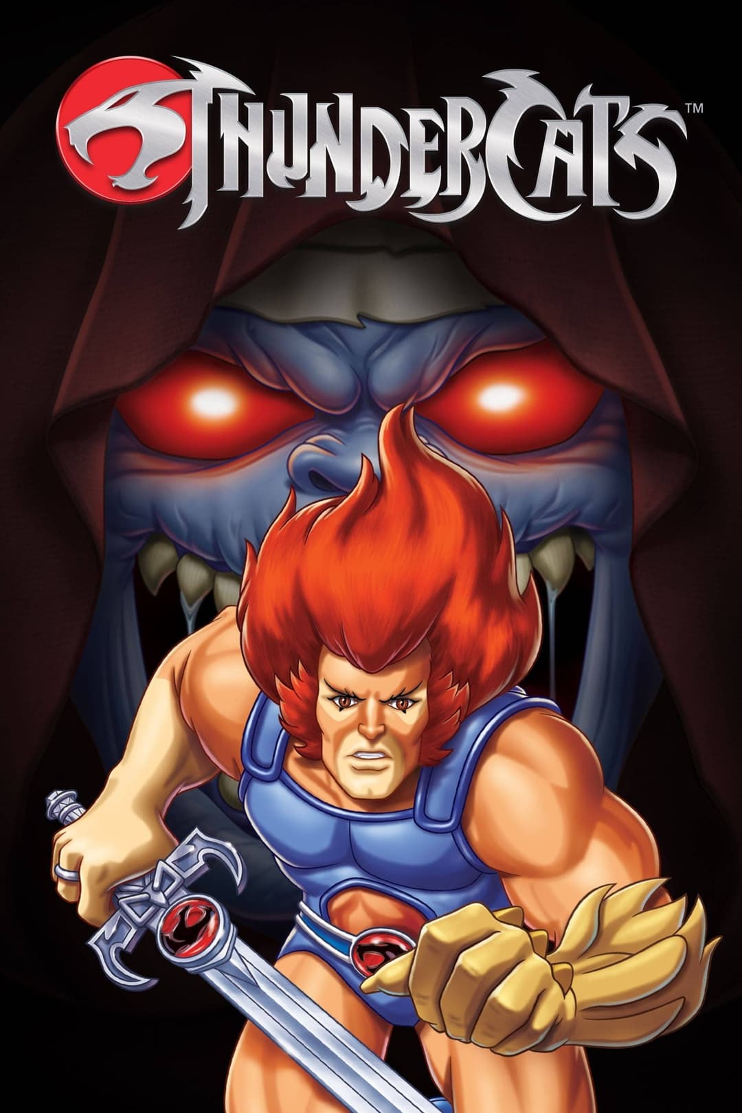 Poster di ThunderCats