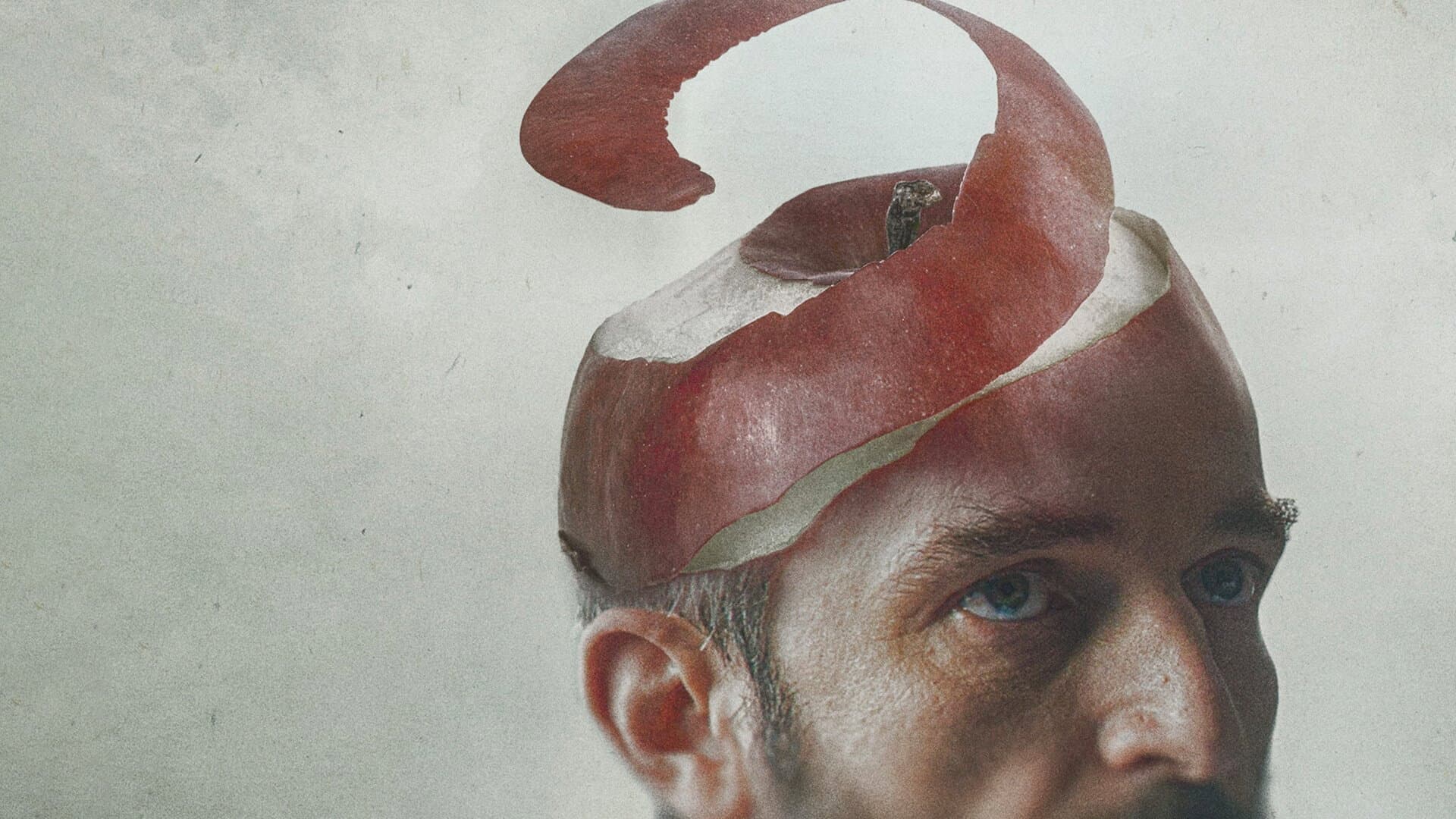 Apples - immagine