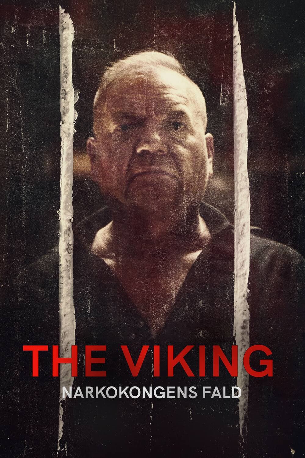 Poster di The Viking - Narkokongens Fald