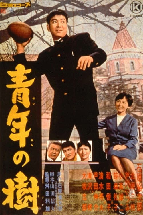 Poster di 青年の樹