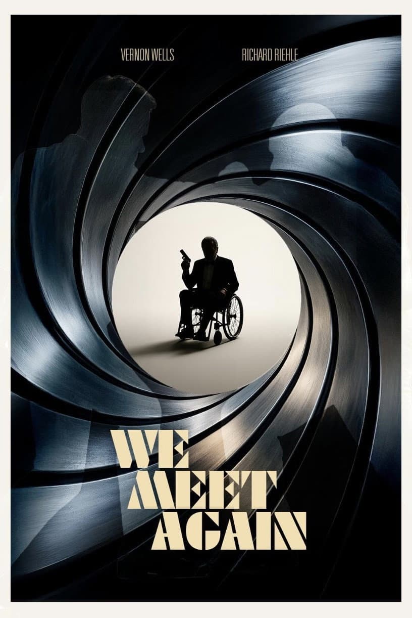 Poster di We Meet Again
