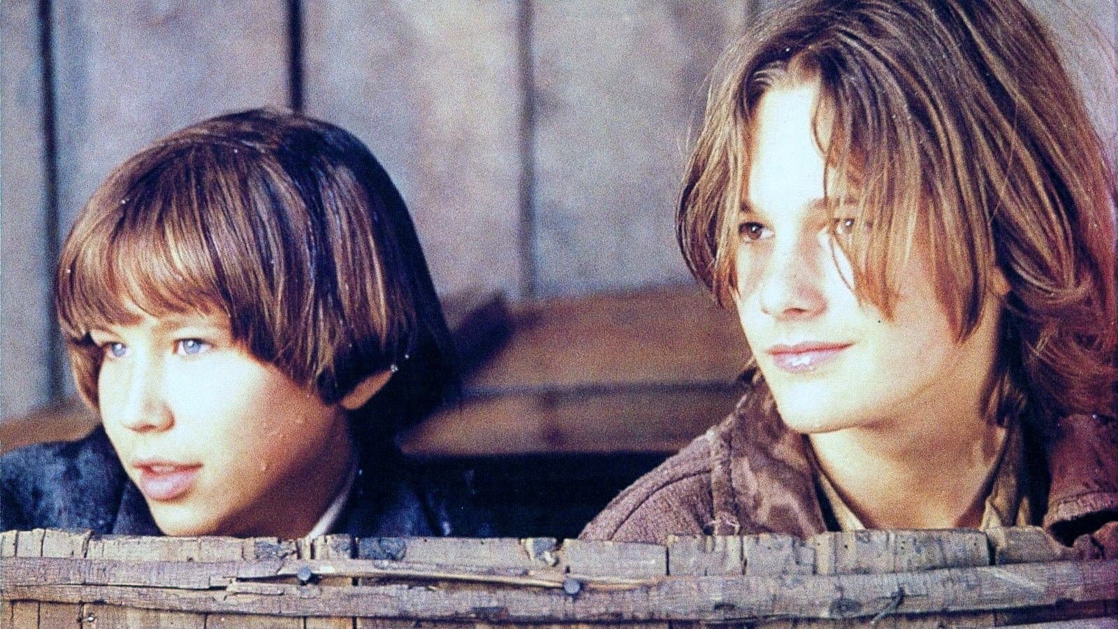 Le avventure di Tom Sawyer e Huck Finn - immagine