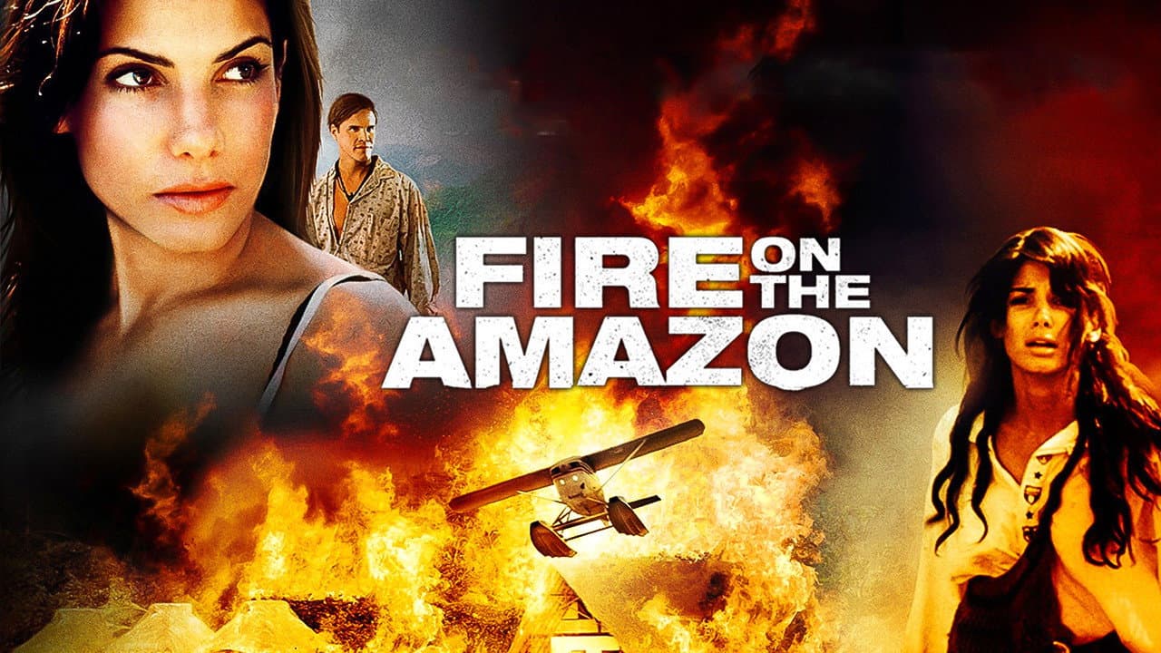 Fiamme sull'Amazzonia - immagine