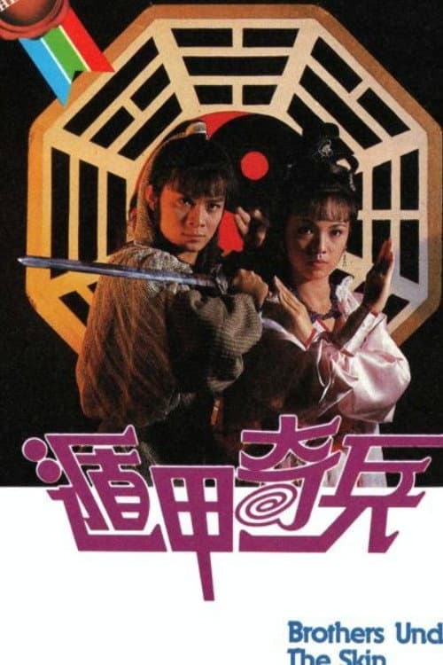 Poster di 遁甲奇兵