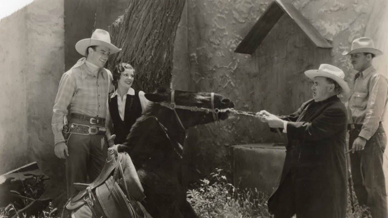 Ride Him, Cowboy - immagine