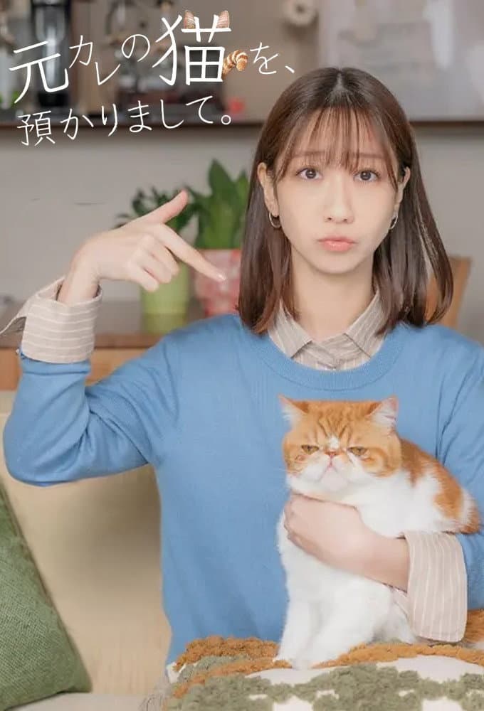 Poster di 元カレの猫を、預かりまして。