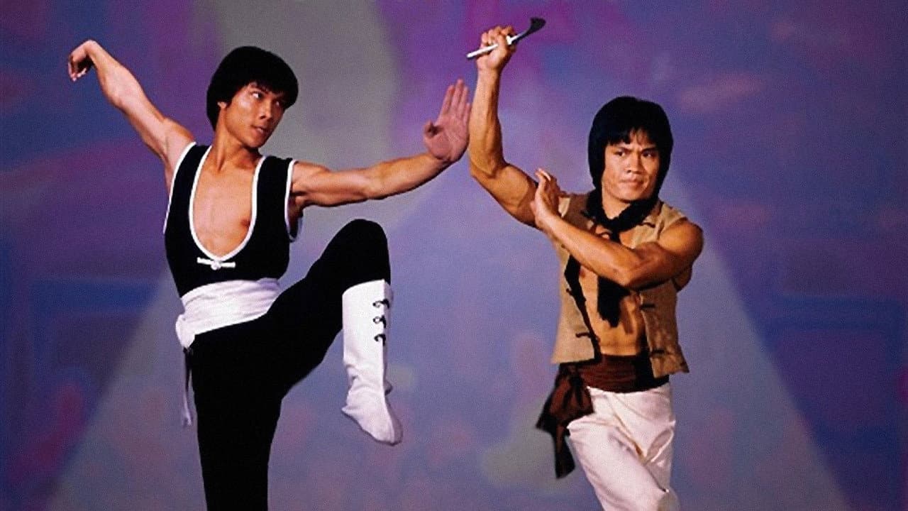 I due campioni dello Shaolin - immagine