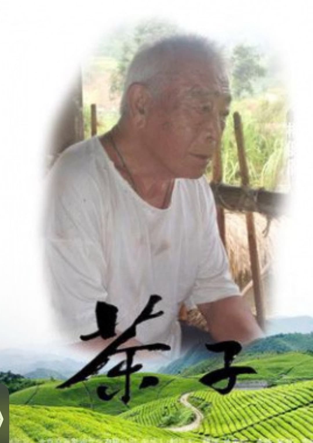 Poster di 茶子