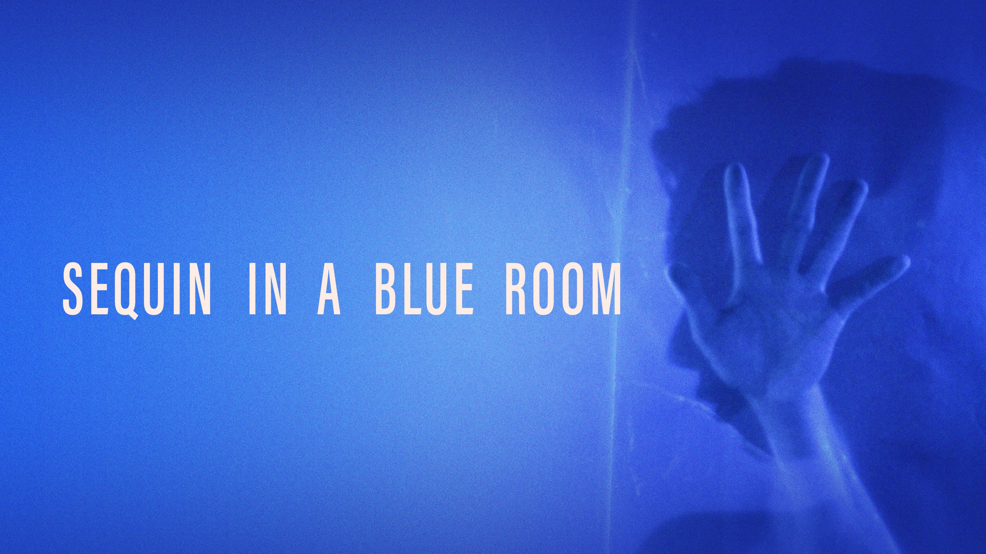 Sequin in a Blue Room - immagine