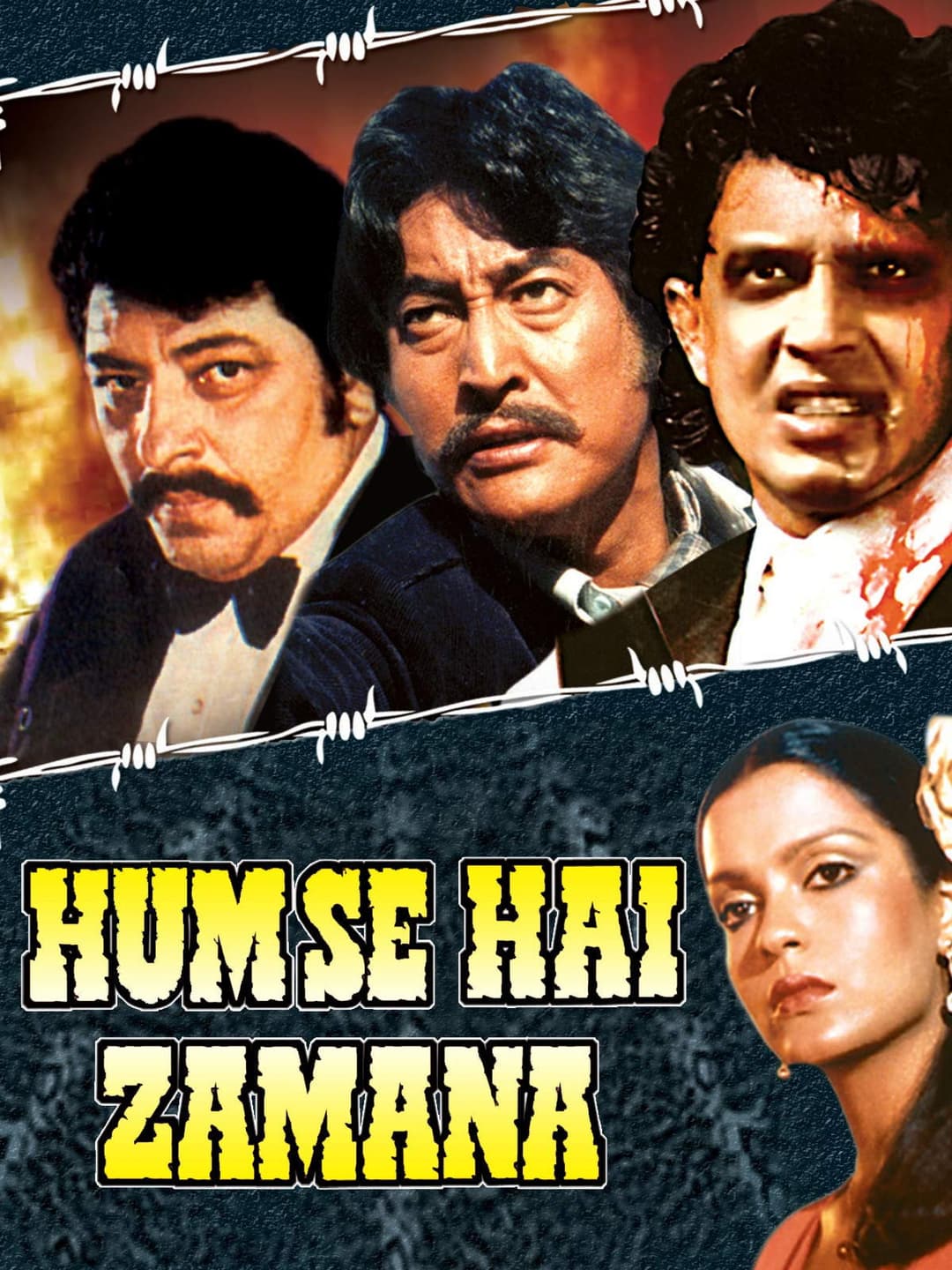 Poster di Hum Se Hai Zamana