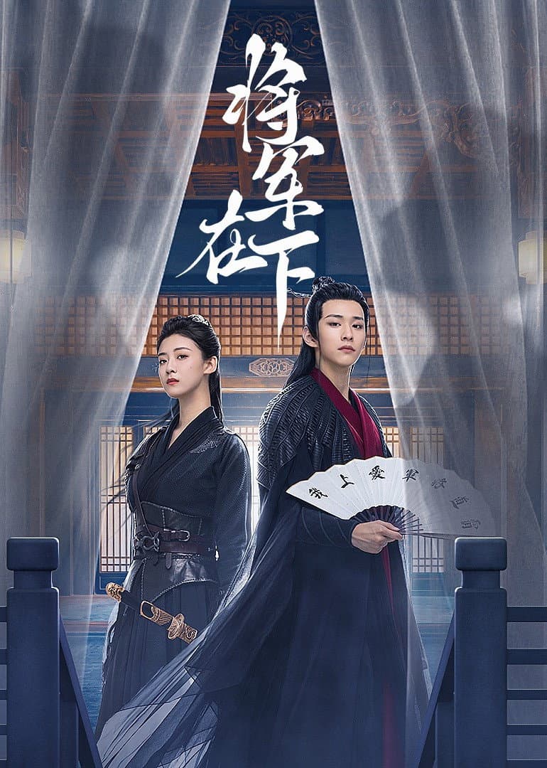 Poster di 将军在下