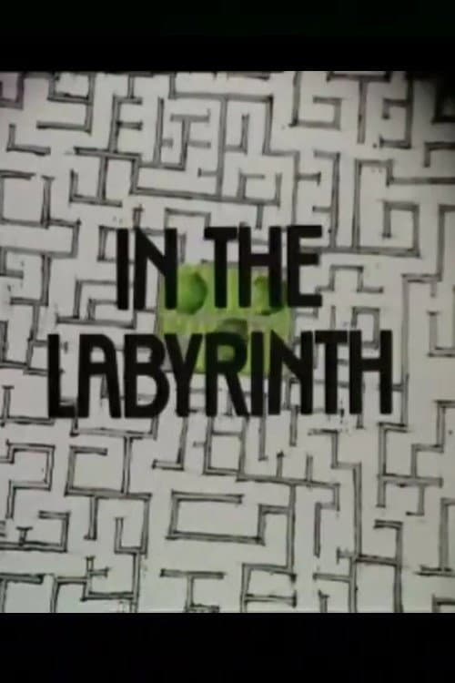 Poster di In the Labyrinth