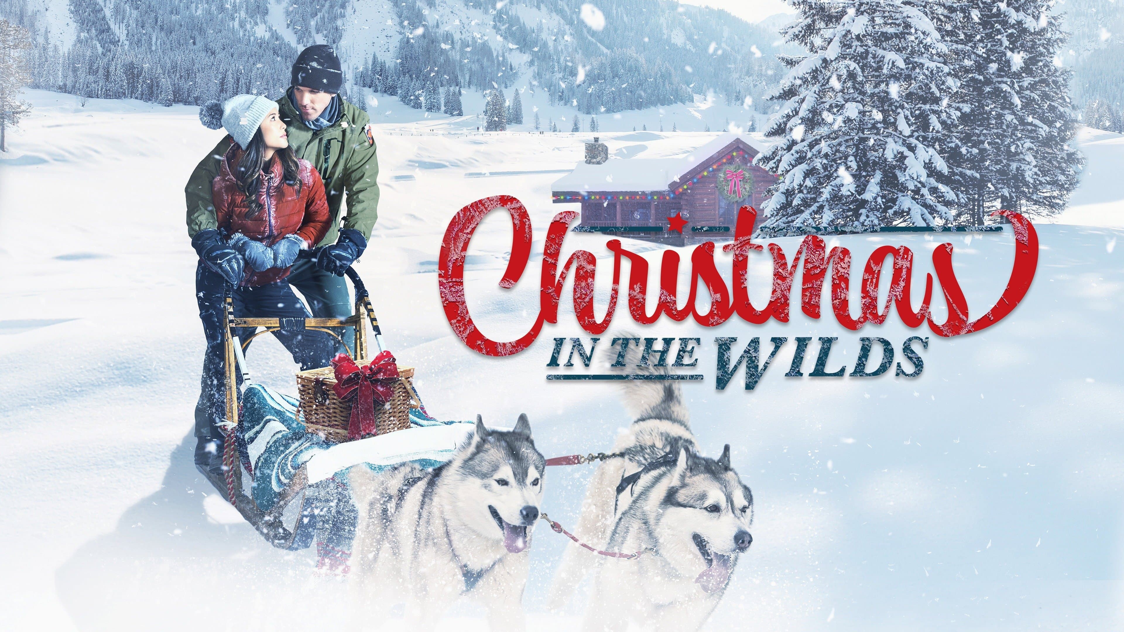 Christmas in the Wilds - immagine