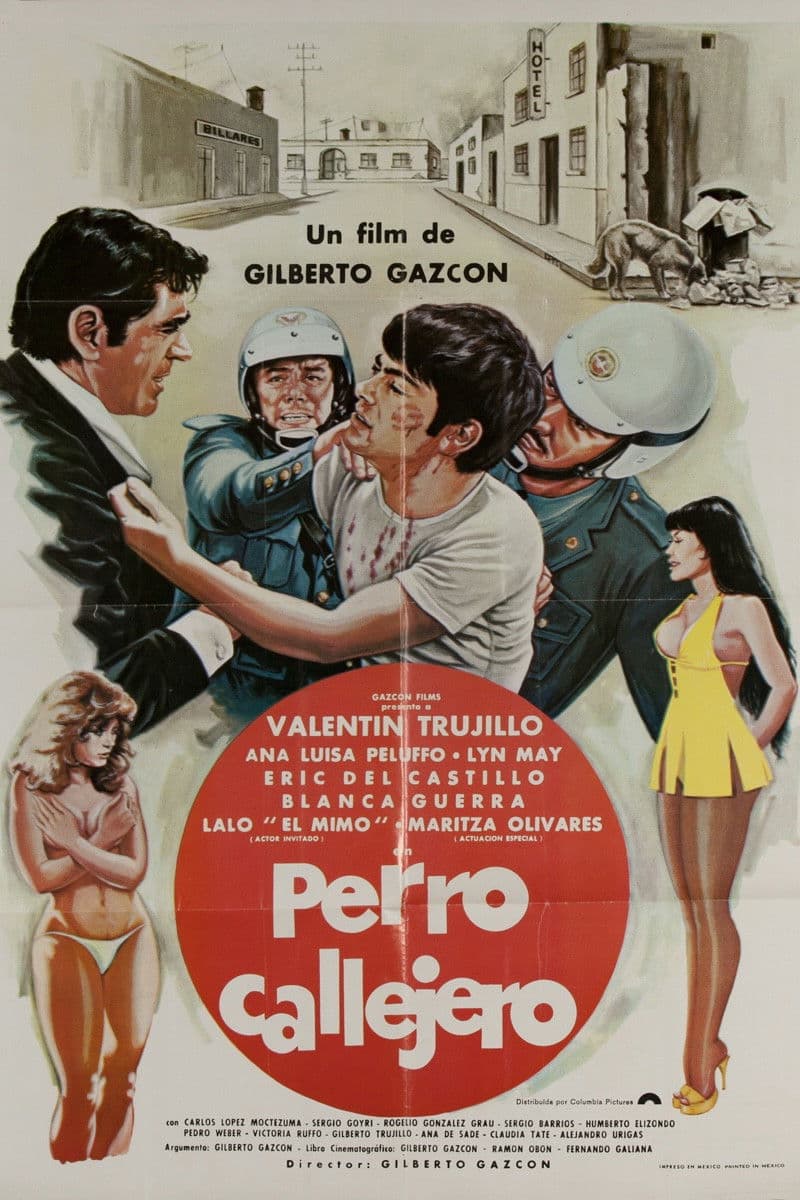 Poster di Perro callejero