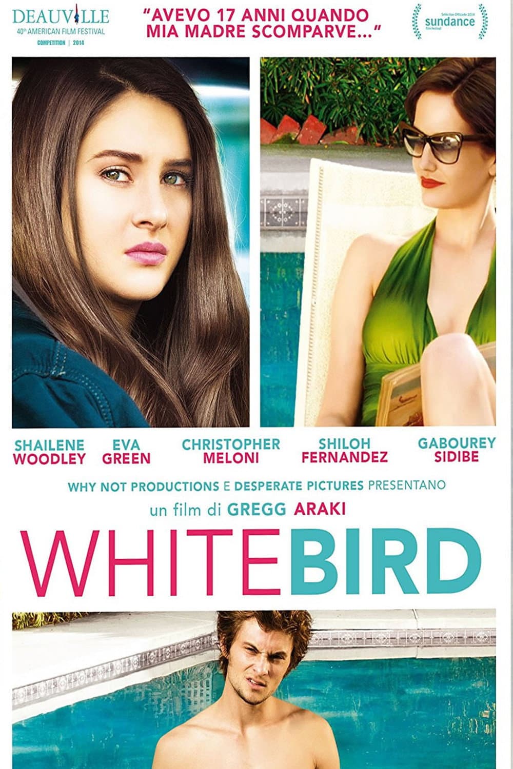 Poster di White Bird