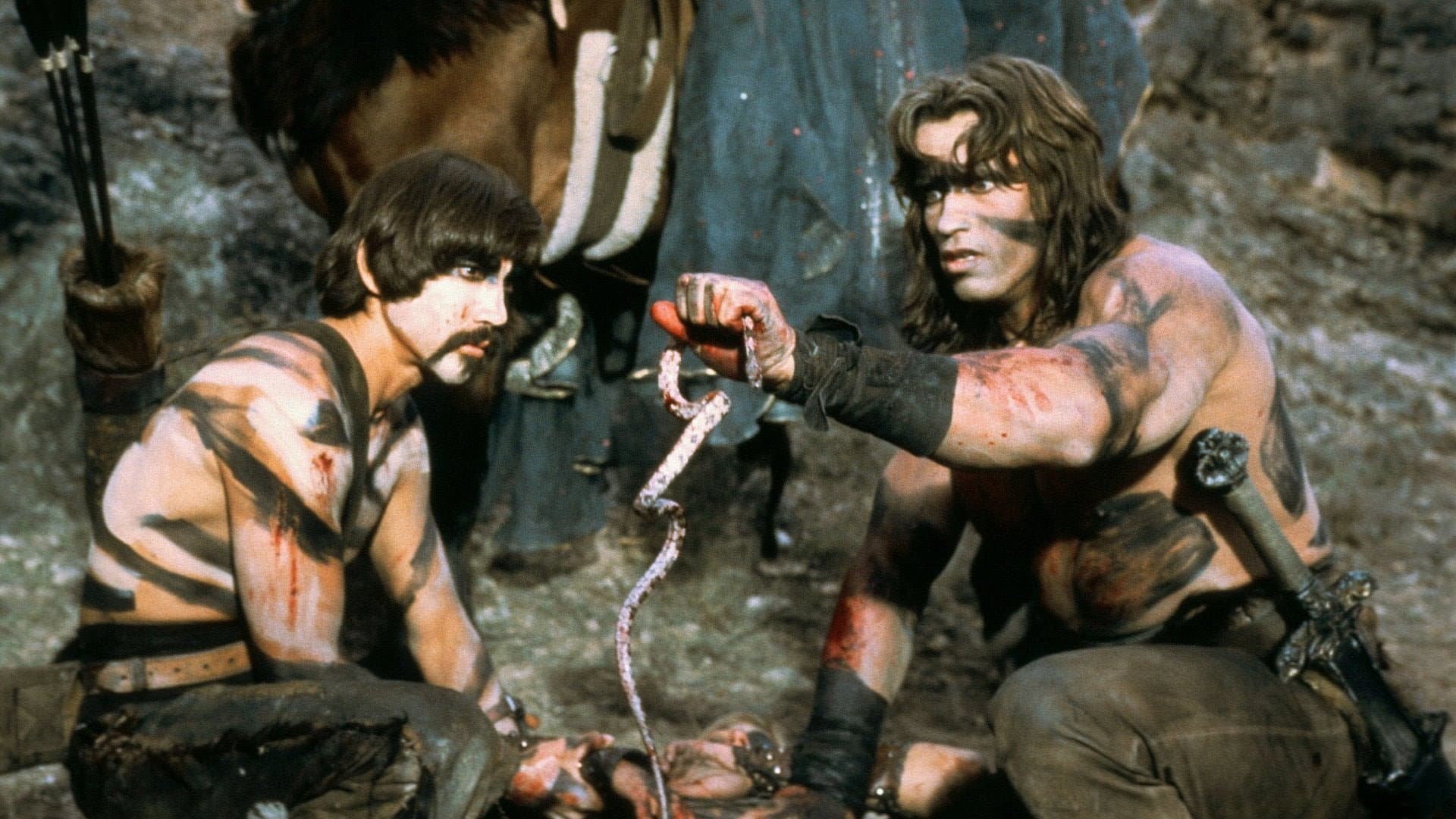 Conan il barbaro - immagine