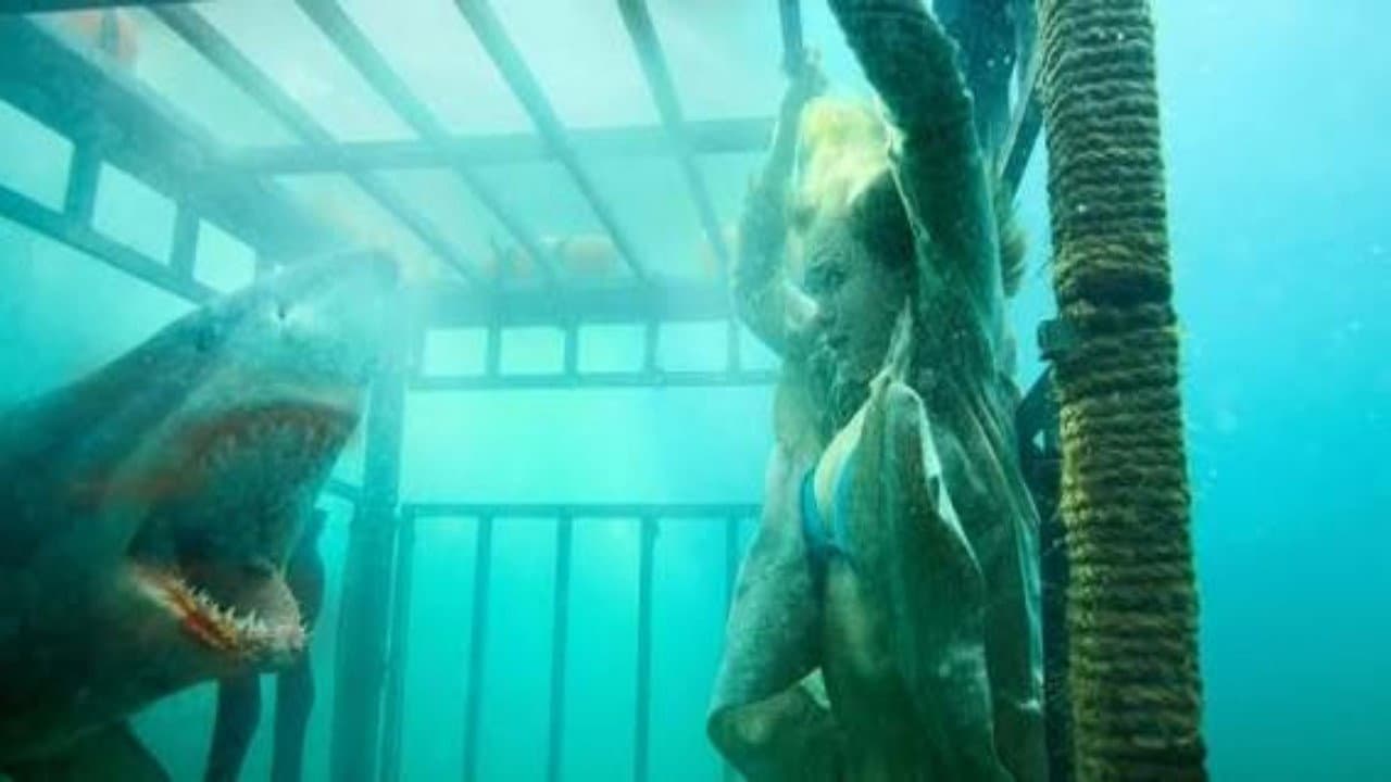 Shark Invasion - immagine