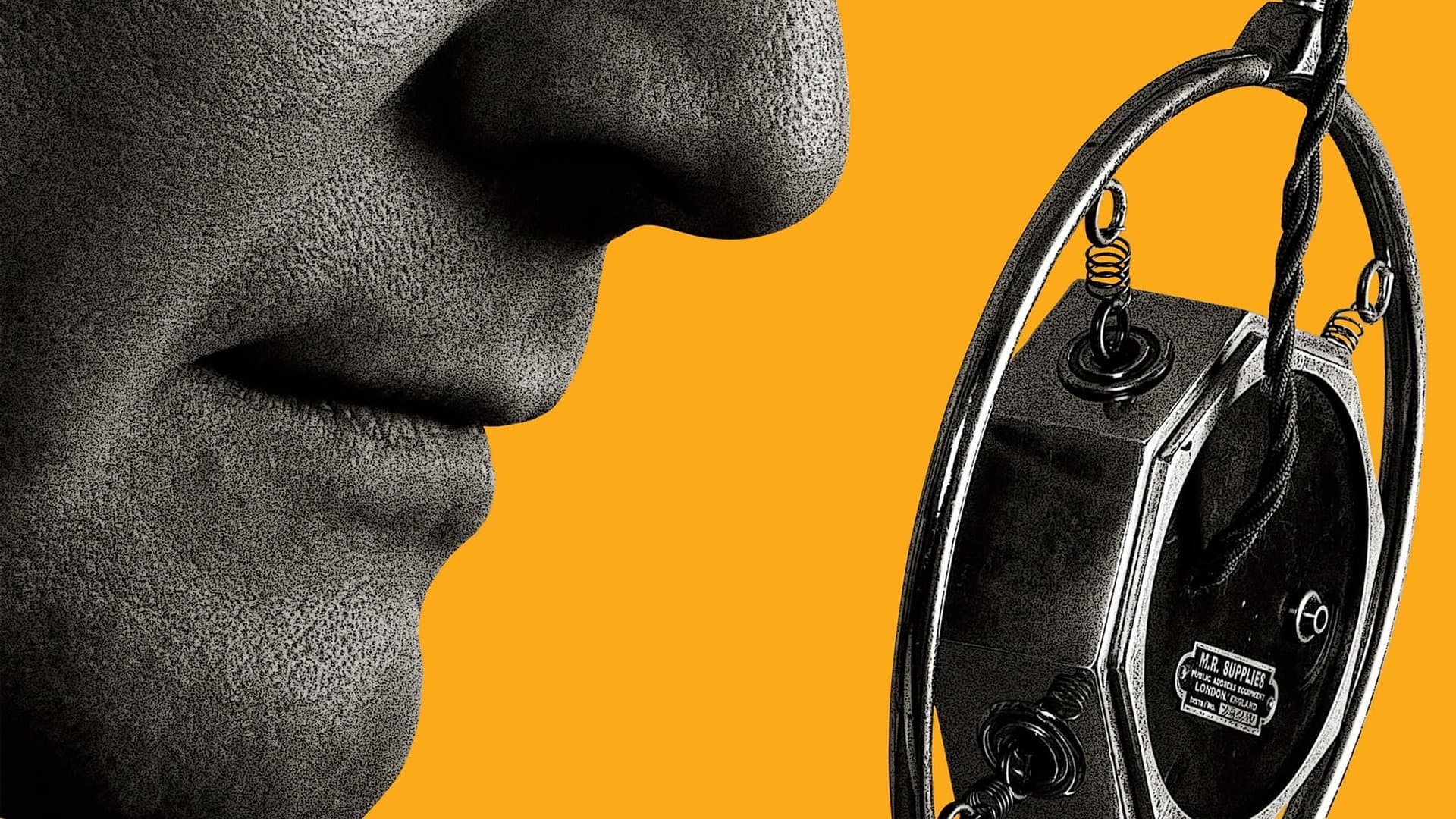 Il discorso del re - immagine