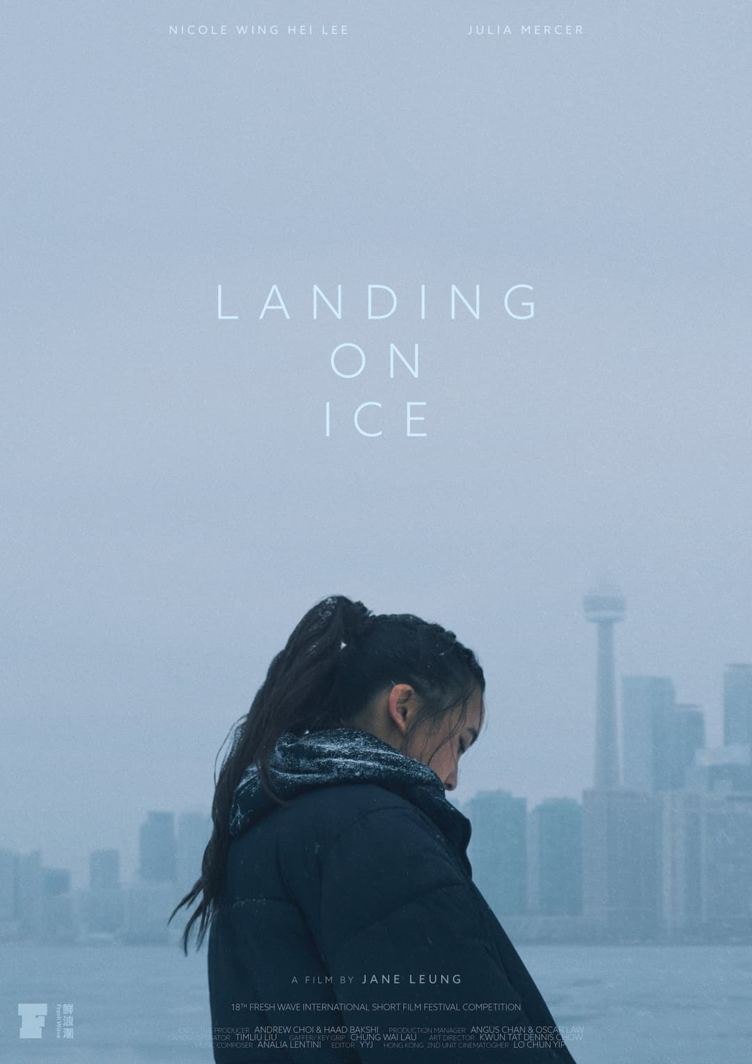 Poster di Landing On Ice