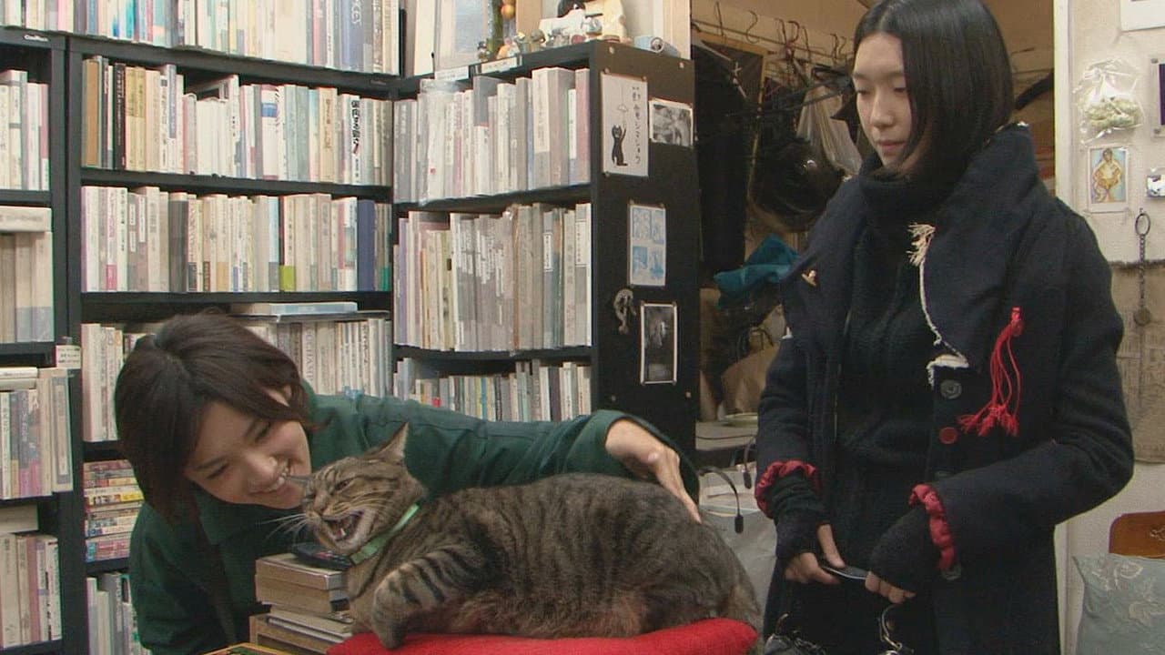 私は猫ストーカー - immagine