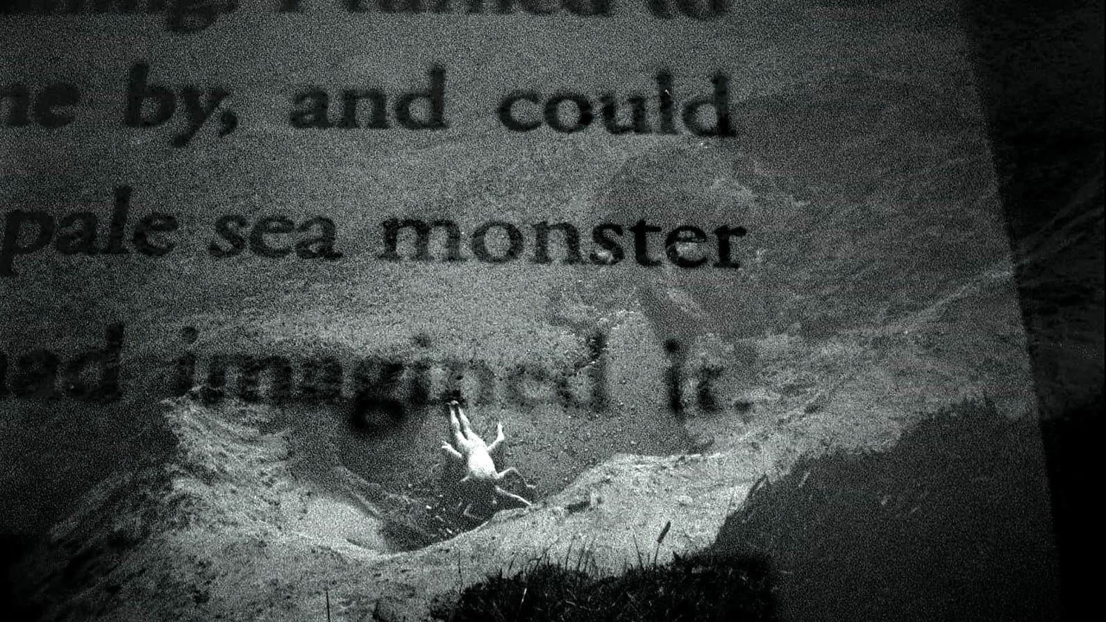 Patience (After Sebald) - immagine