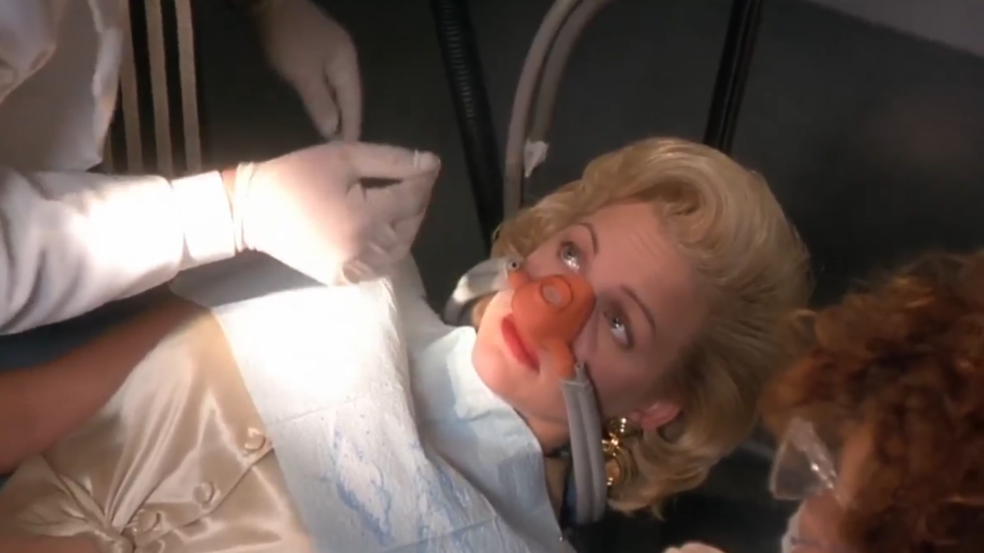 The Dentist - immagine