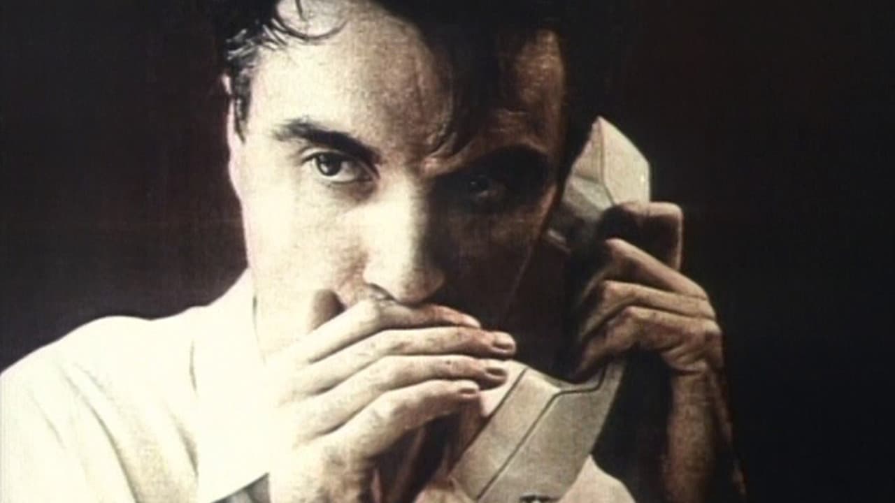 Talking Heads: Storytelling Giant - immagine
