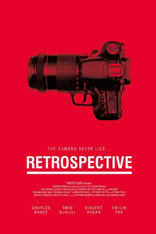 Poster di Retrospective
