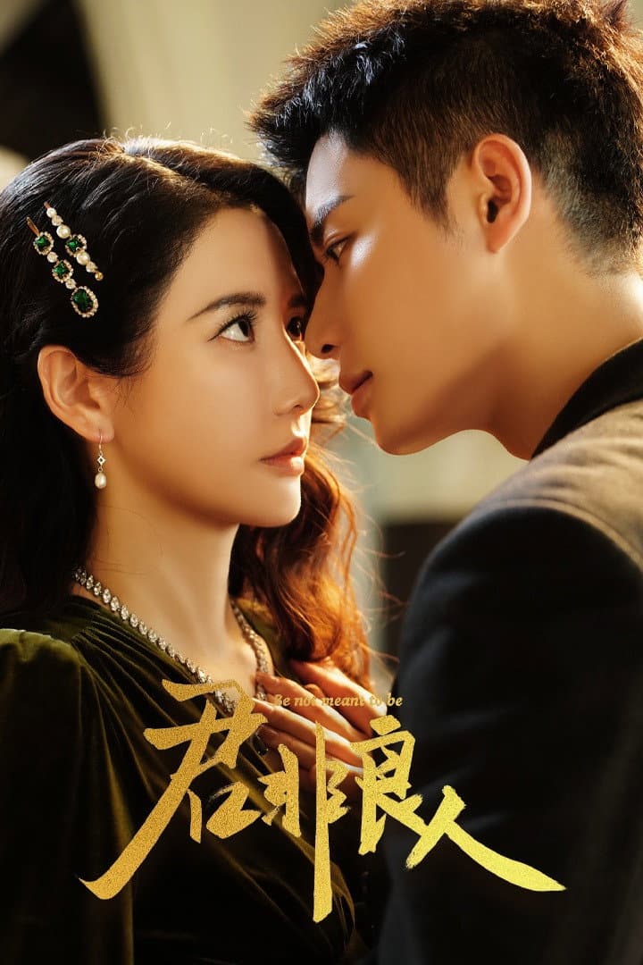 Poster di 君非良人