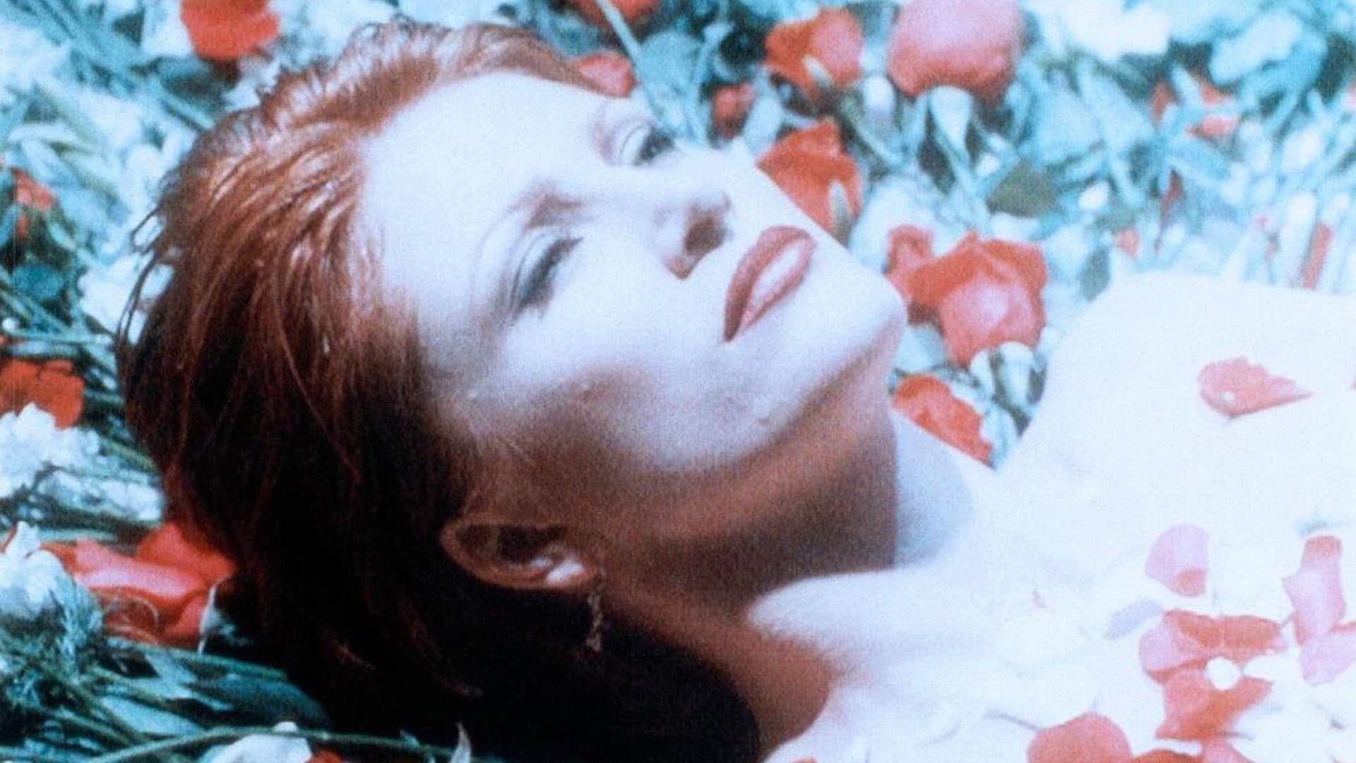 Il fiore del silenzio - immagine