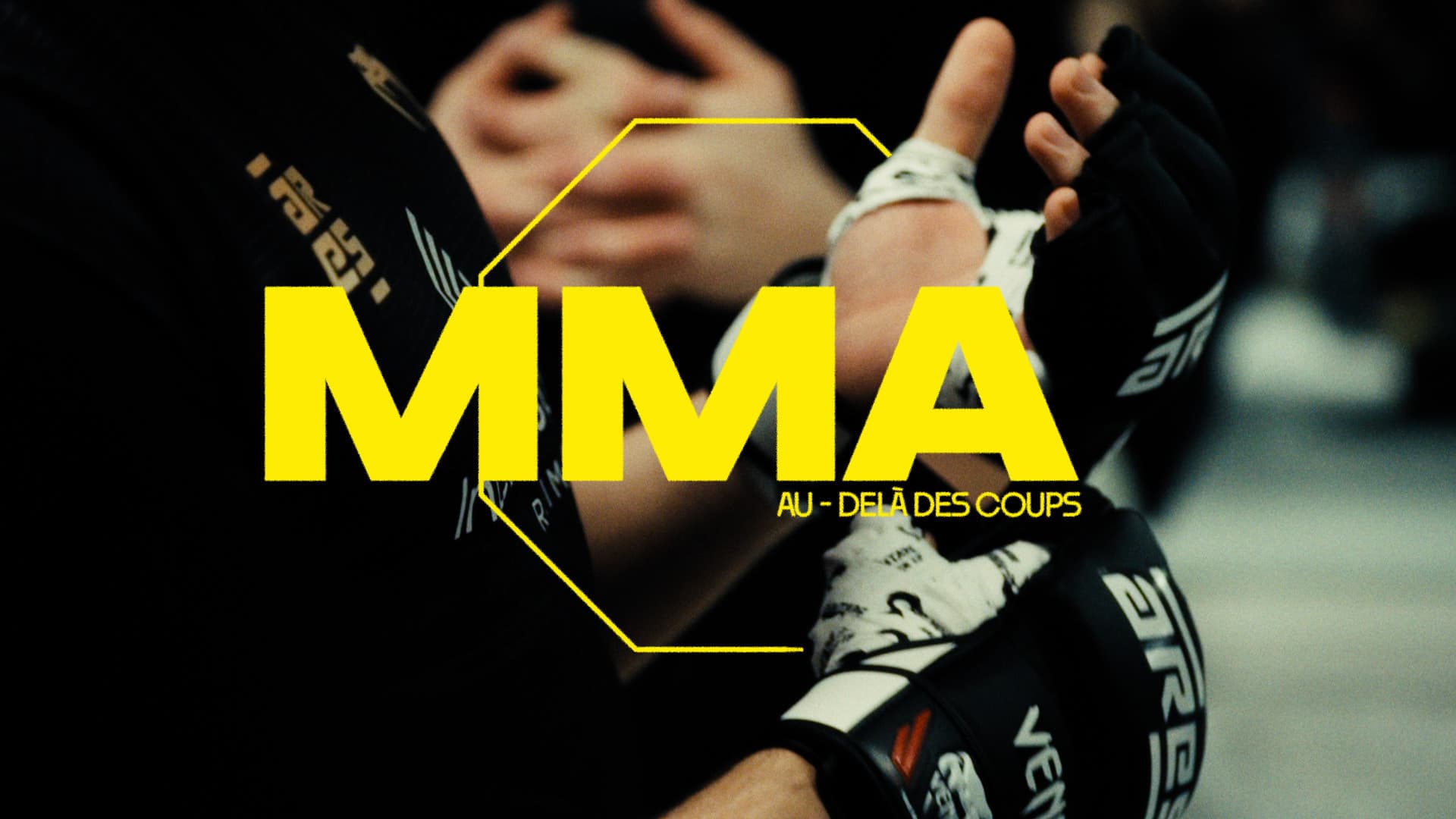 MMA, au-delà des coups - immagine
