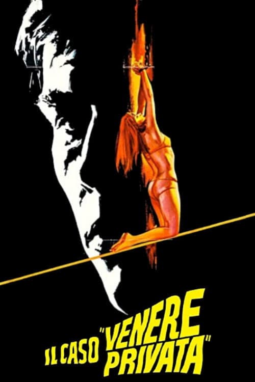 Poster di Il caso 'Venere privata'