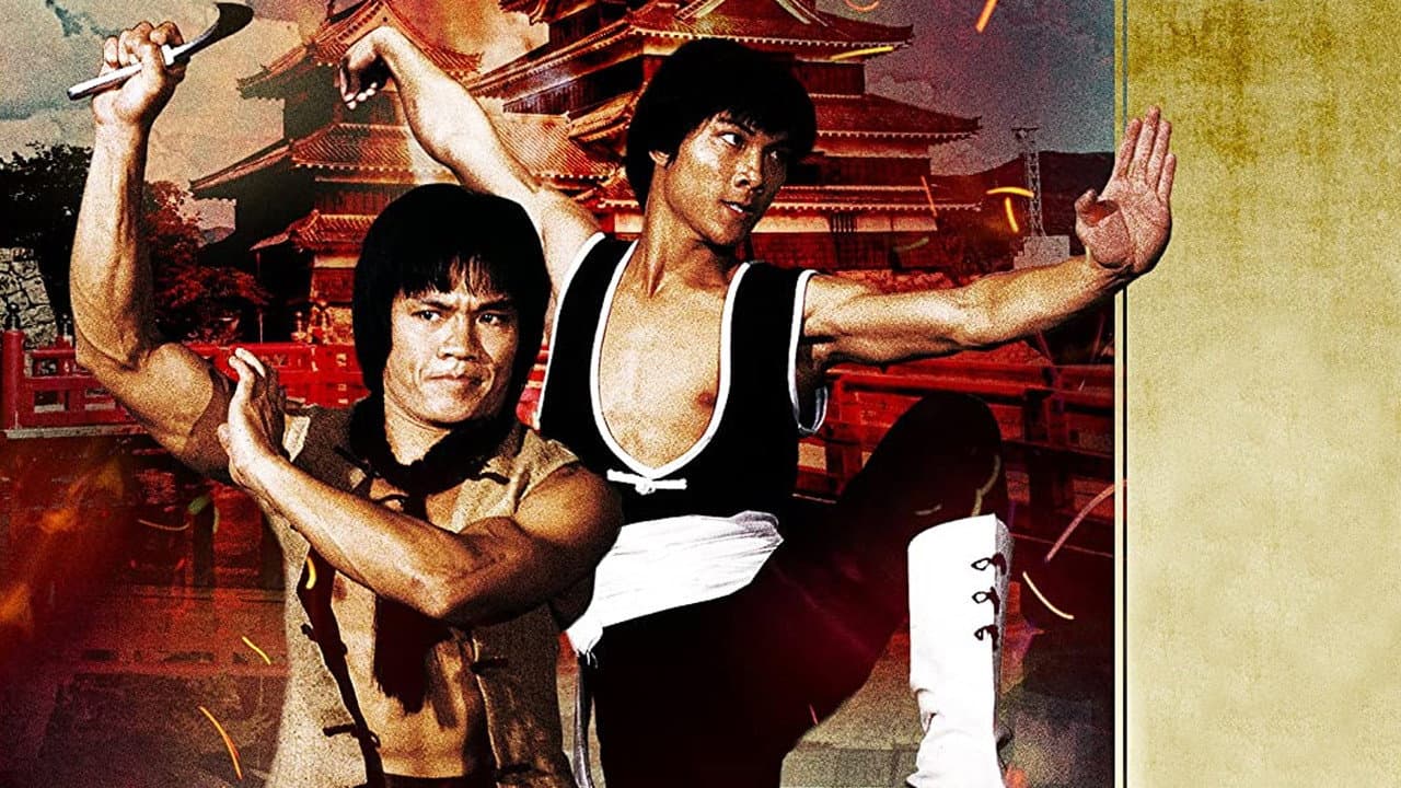 I due campioni dello Shaolin - immagine