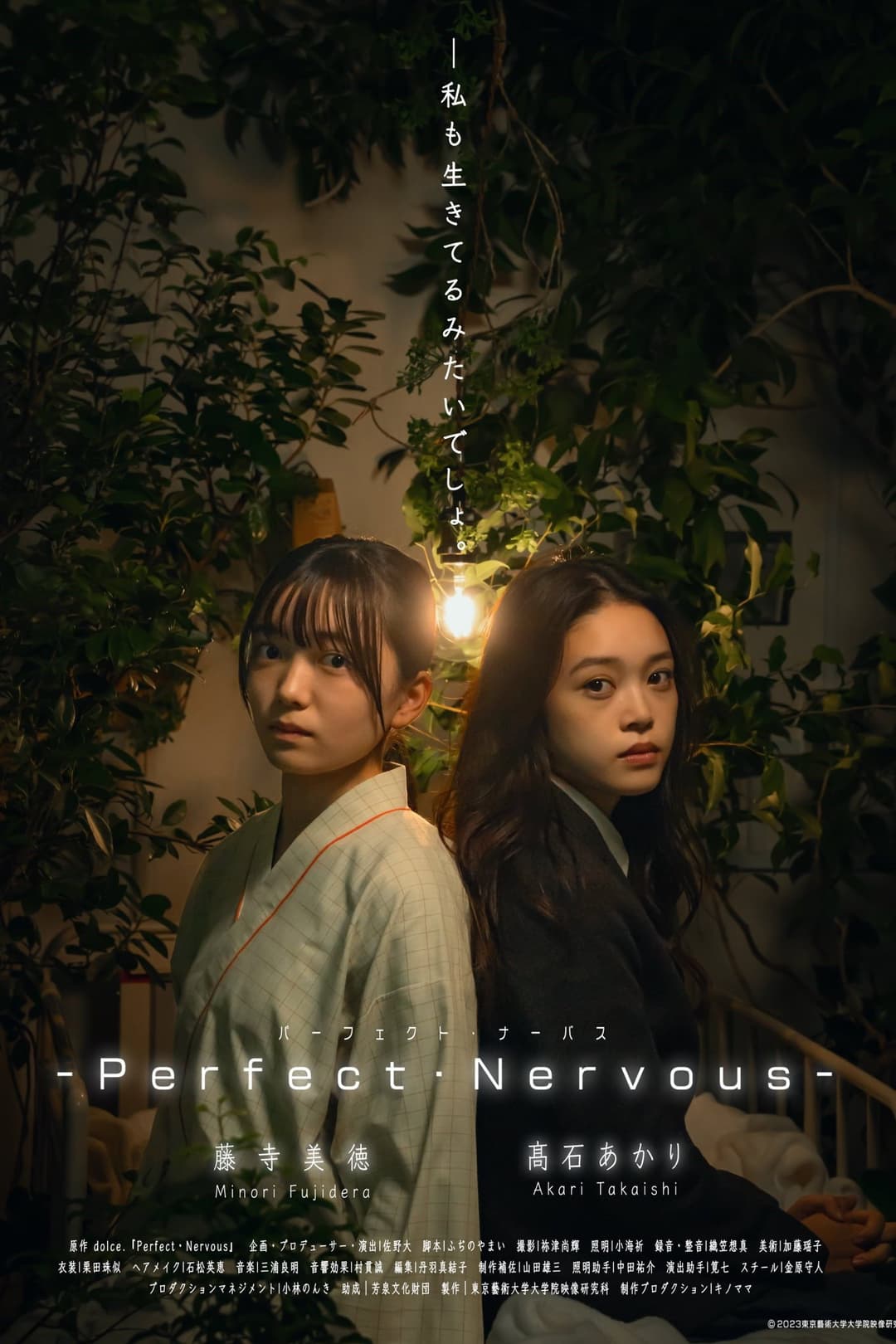 Poster di Perfect Nervous