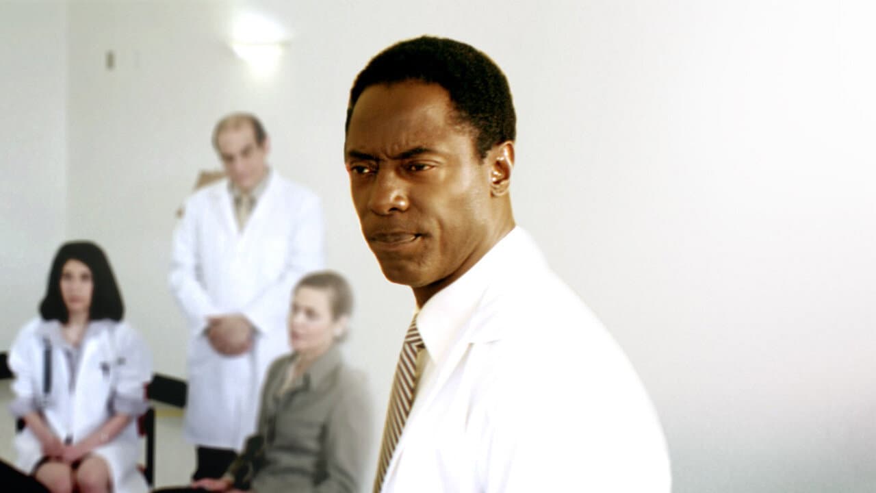 Doctor Bello - immagine