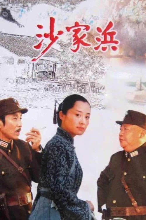 Poster di 沙家浜