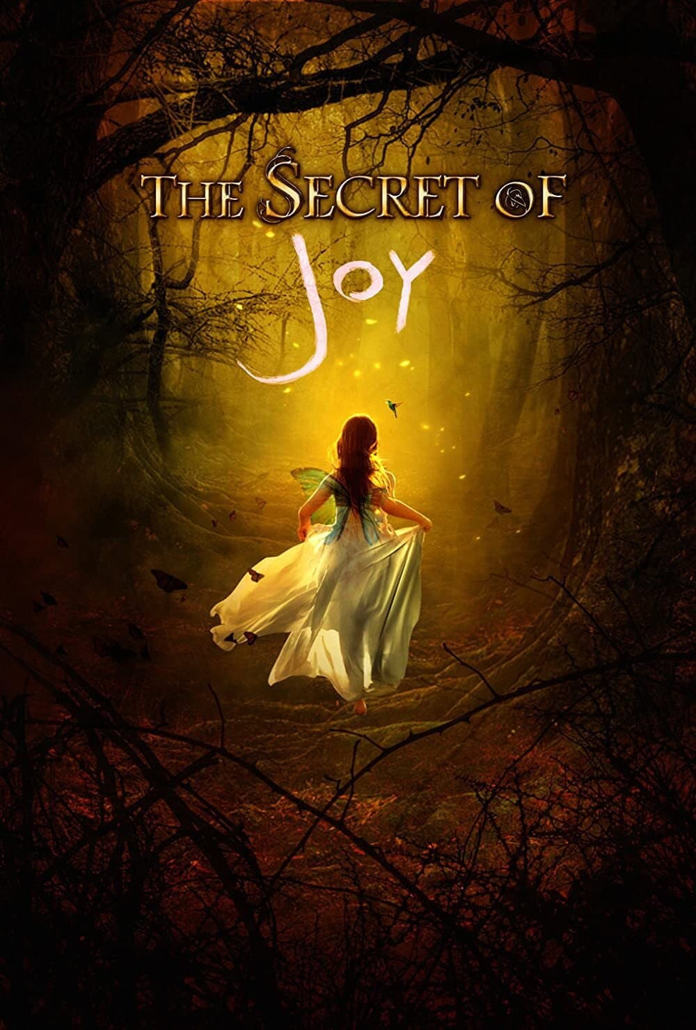 Poster di The Secret of Joy
