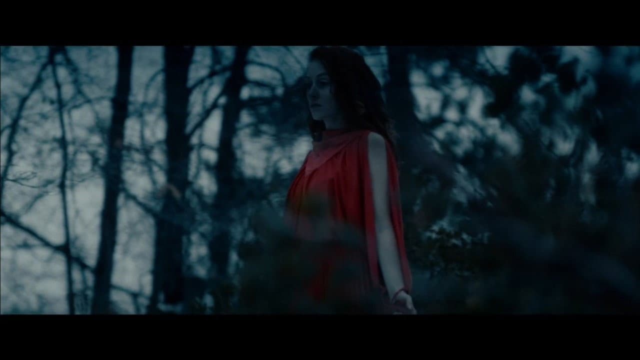 Into the Night - immagine