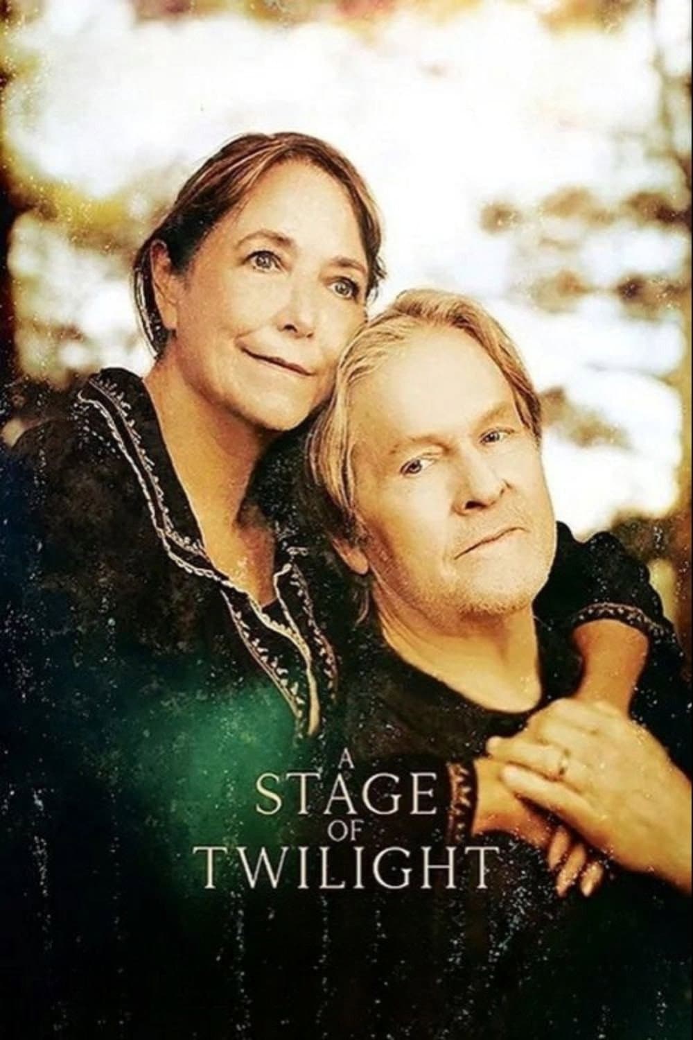 Poster di A Stage of Twilight