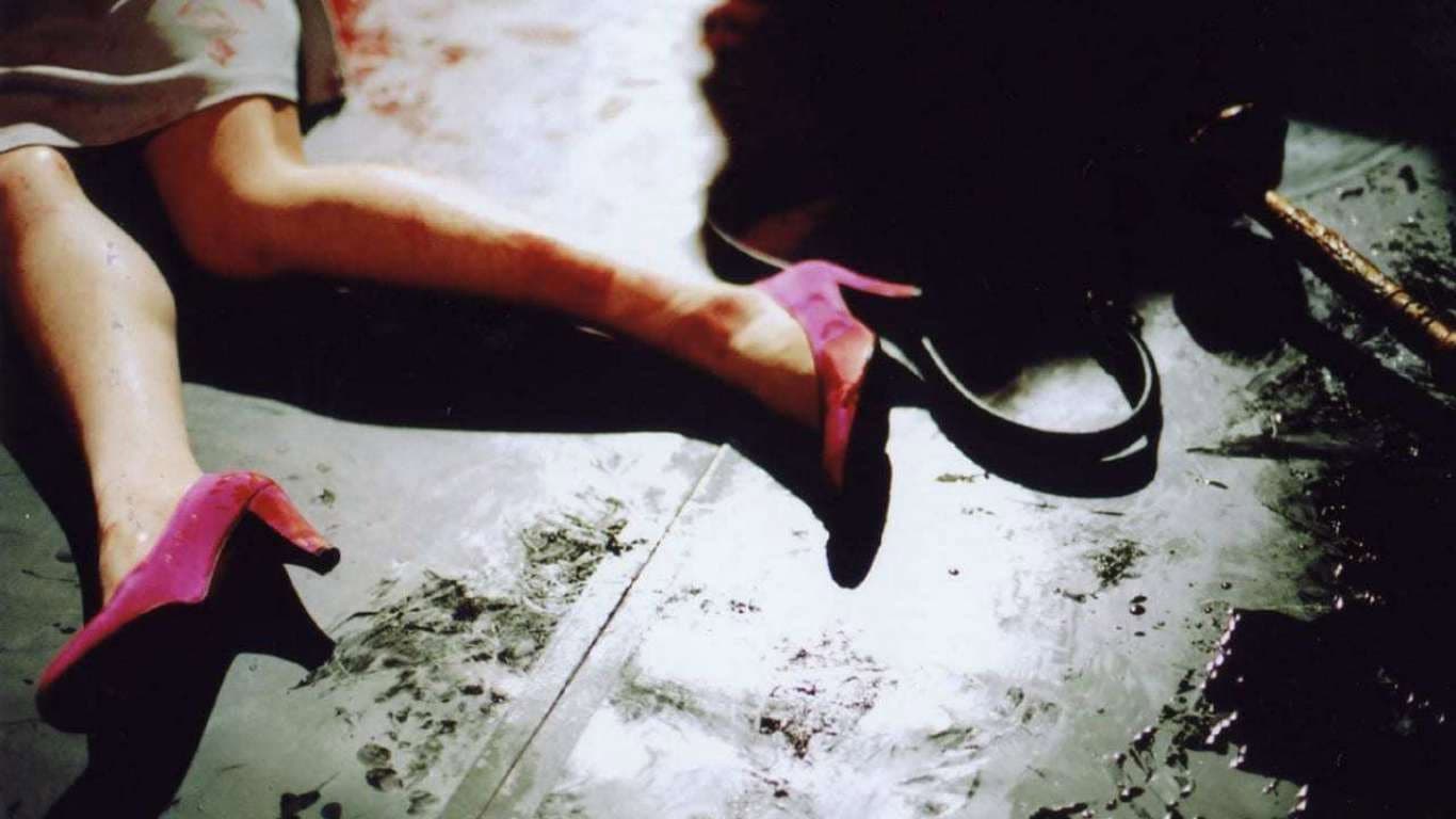 The Red Shoes - immagine